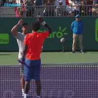 high five france GIF by Tennis TV
