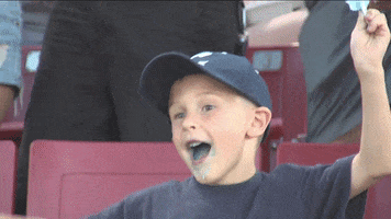 Cotton Candy Sport GIF by Kane County Cougars