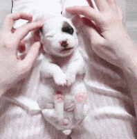 200.gif?cid=f0bdee70tskxttek4h5bcn3etjju0jwq6b501kgzqs7nuwir&rid=200.gif&ct=g