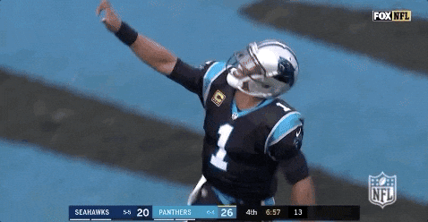 2018 nfl football GIF by NFL