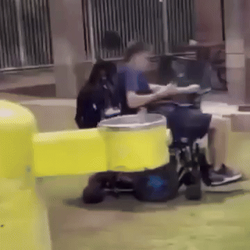 Sam Wheelchair GIF