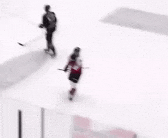 Medhat Whl GIF