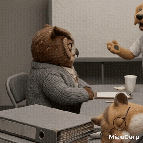 Owl GIF