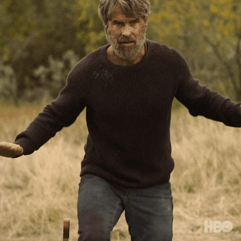 Hands Up GIF by HBO