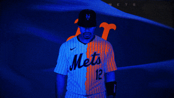 Mlb Nyc GIF by New York Mets
