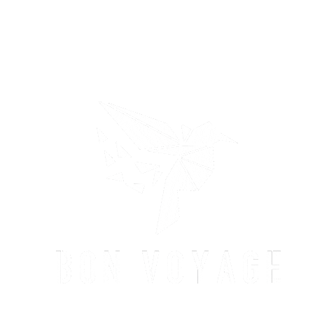 Travel Fly Sticker by Menoucha Scholte