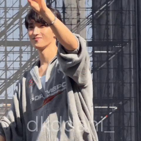 Seventeen Meme GIF