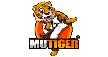 Boxing Kickboxing Sticker by KSS Augsburg