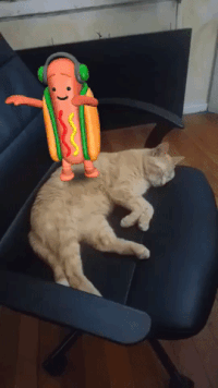 Featured image of post Animated Dancing Hot Dog Gif