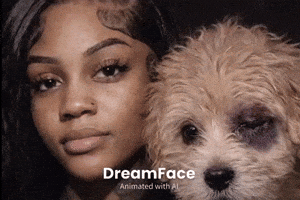 Dog Aspen GIF