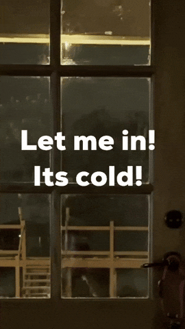 Freezing Snow Day GIF