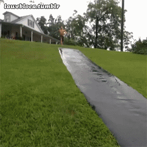 Slip And Fall GIFs - Get the best GIF on GIPHY