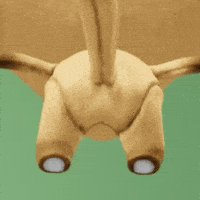 Lmao Yes GIF by The Plooshies