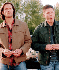 200w.gif?cid=6c09b952jkelu4pjo8qrwap2okx3mv0qf5zie2rz3vo5m2sz&ep=v1_gifs_search&rid=200w.gif&ct=g