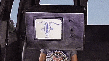 200.gif?cid=fc005b08b661b80bd1a4836e07bf5e0cb4a6ff9a0ae90291&rid=200.gif&ct=g