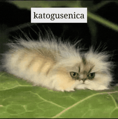 Caterpillar GIF