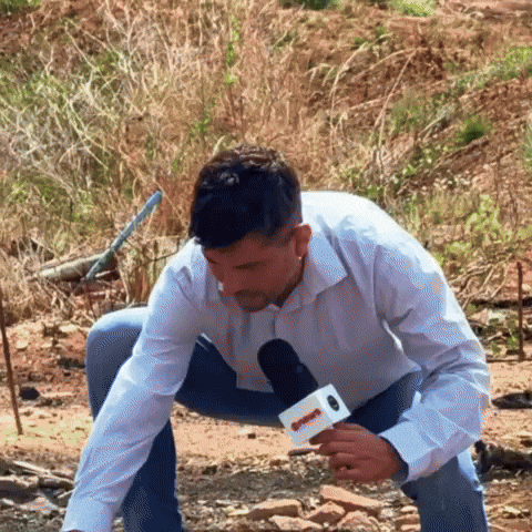 Globo Reporter GIF