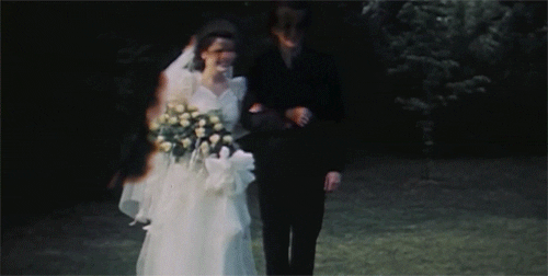 American Wedding Gifs Get The Best Gif On Giphy