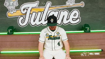 College Baseball Lambert GIF by GreenWave