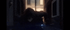 Shadow GIF