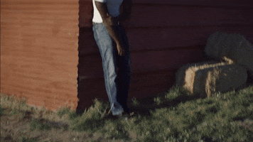 Country Music GIF by Shaboozey