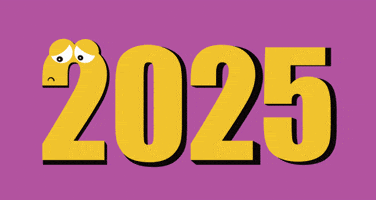 New Year Ano Novo GIF