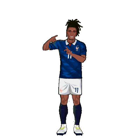 France Football Sticker by Panini America