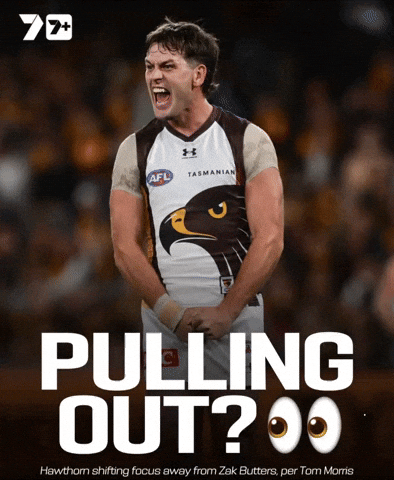 Hawthorn Hawks Zak Butters GIF