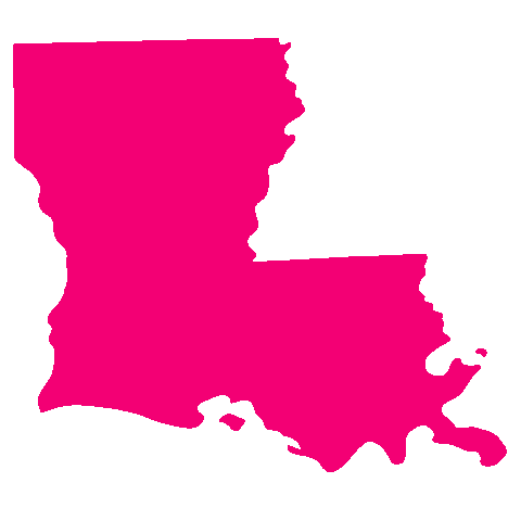 The Pink Paisley Sticker