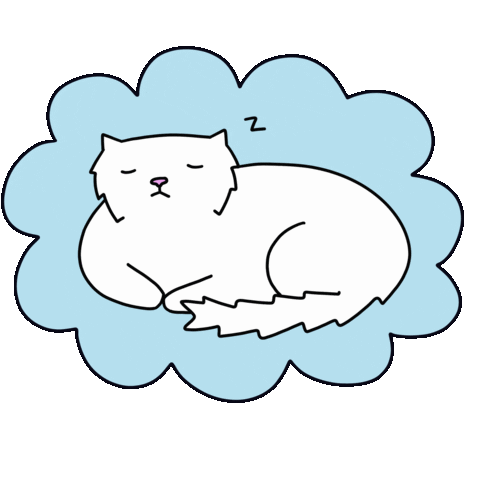 Cat Sticker