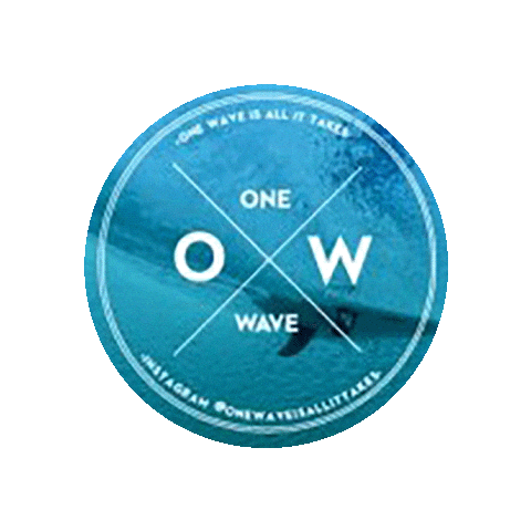 onewaveisallittakes Sticker