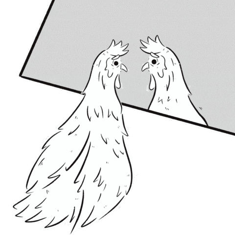 Galinha Sticker
