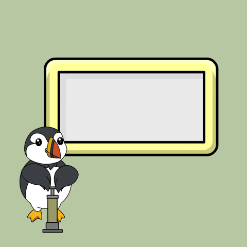 Puffins GIF