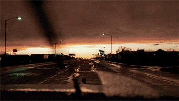 wim wenders GIF by Maudit