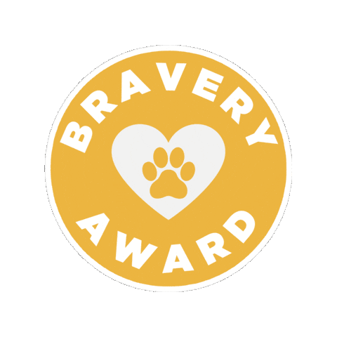 Award Bravery Sticker by VetPartners