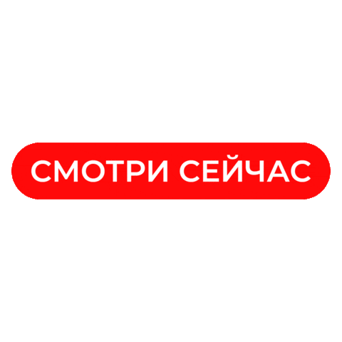 Lifenews Sticker by Life.ru