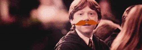 harry potter mustaches GIF