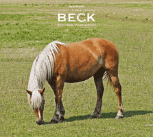 Sporthotel Beck GIF