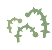 Flower Plant Sticker