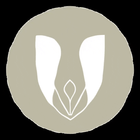 Cartório de Balsas - Segundo Ofício GIF