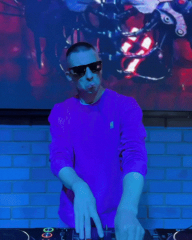Dj GIF by armodine