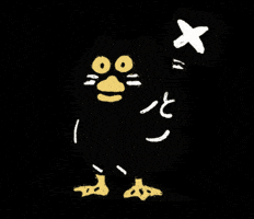 貓 No GIF