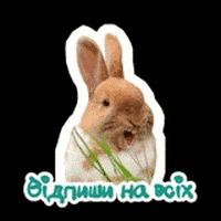 Bunny Easter GIF by ABM TRADE