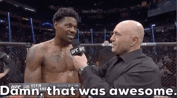 Awesome Mixed Martial Arts GIF by UFC