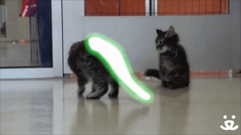 dogs with lightsabers gif