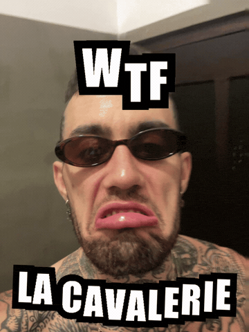 What Wtf GIF