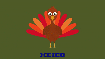 HEICOCorp thanksgiving heico thanksgiving GIF