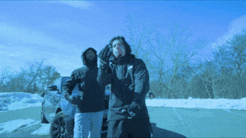009fly GIF