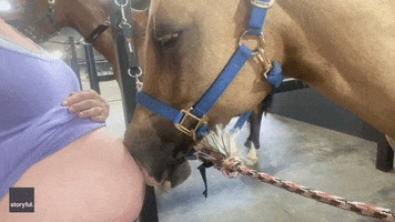 Horse Whisperer Baby GIF by Storyful