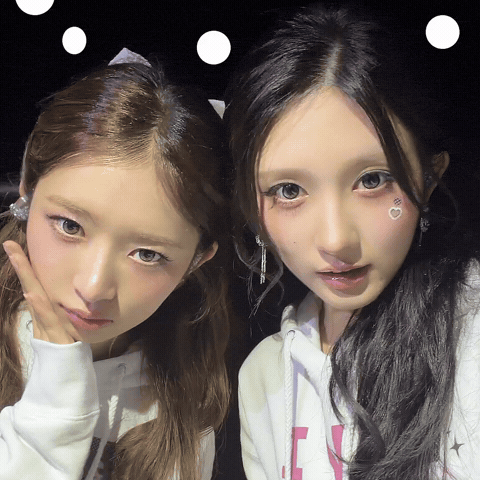 Girl Group Concert GIF